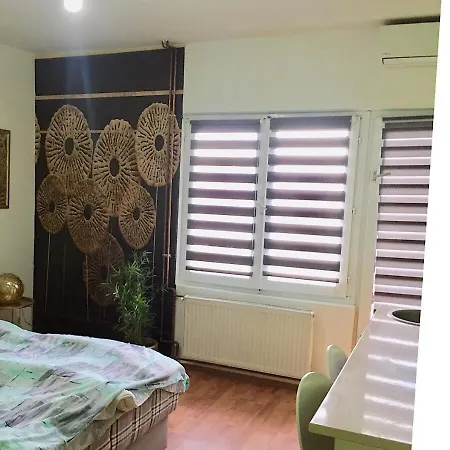 Apartman Dusica *