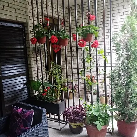 Dusica Apartman Jagodina