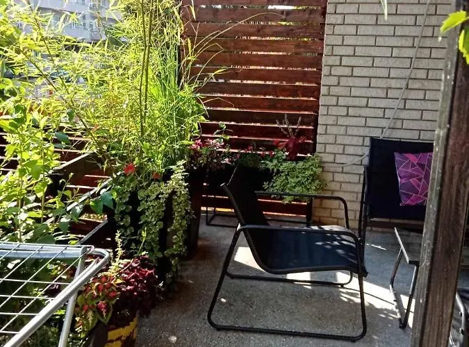 公寓 Dusica 雅戈丁那