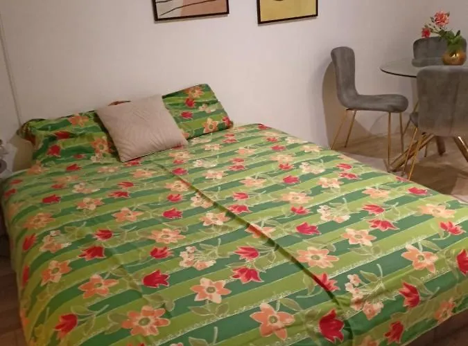 公寓 Dusica 雅戈丁那