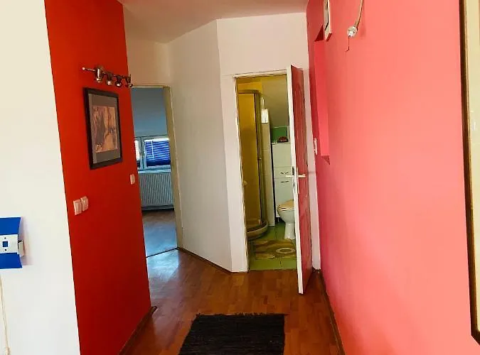 Dusica * 雅戈丁那