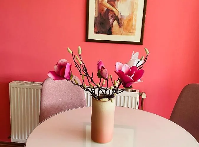 公寓 Dusica 雅戈丁那