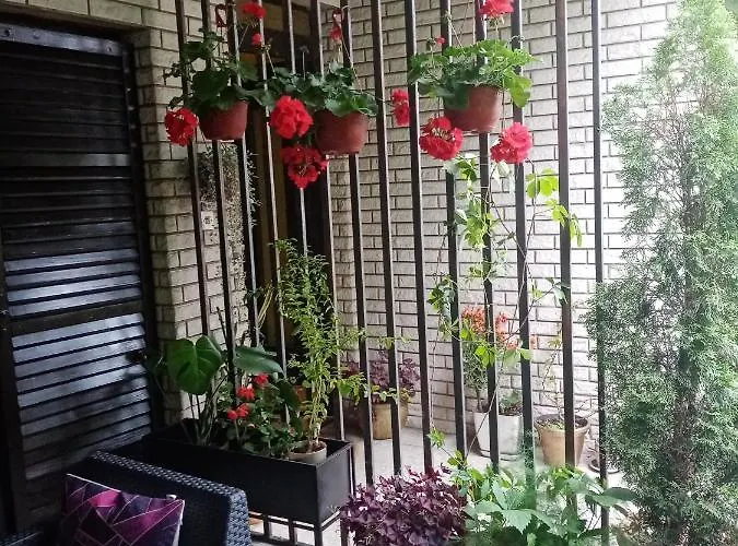 Dusica Apartman Jagodina